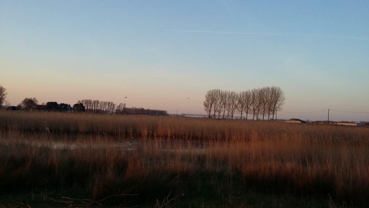 De Molenkreek Villa Sint-Margriete Eksteriør billede