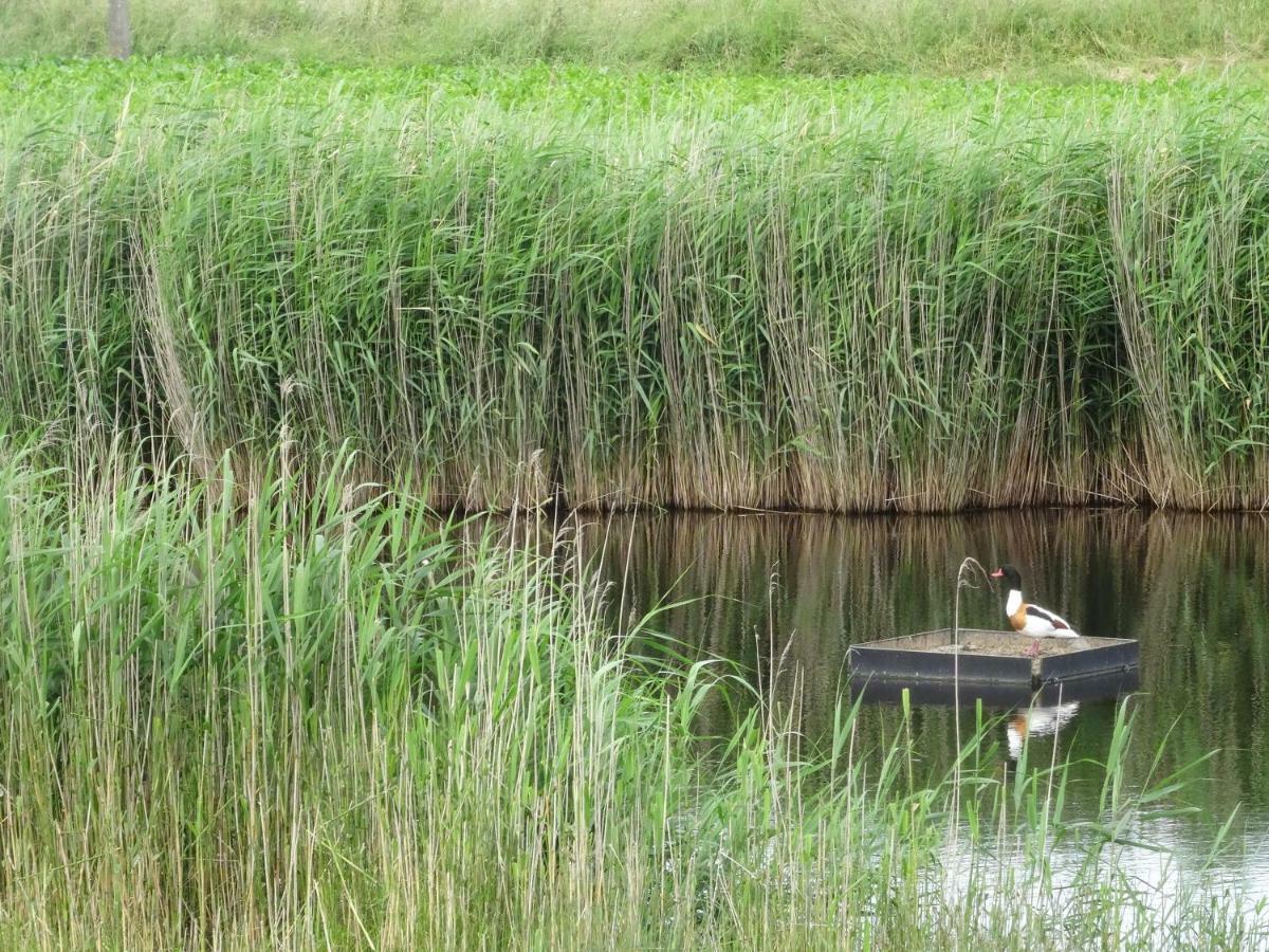 De Molenkreek Villa Sint-Margriete Eksteriør billede